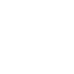 chatbot icon